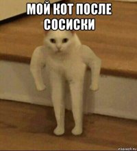 мой кот после сосиски 