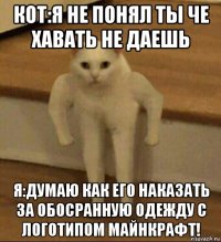 кот:я не понял ты че хавать не даешь я:думаю как его наказать за обосранную одежду с логотипом майнкрафт!