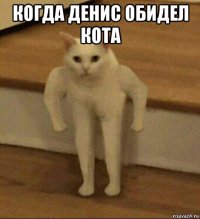 когда денис обидел кота 