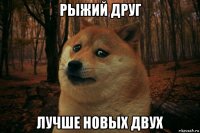 рыжий друг лучше новых двух