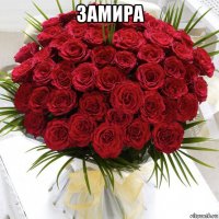 замира 