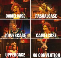 camelCase pascalcase lowercase CAMELCASE Uppercase no convention