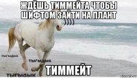 ждёшь тиммейта чтобы шифтом зайти на плант тиммейт