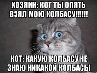 хозяин: кот ты опять взял мою колбасу!!!!!! кот: какую колбасу не знаю никакой колбасы