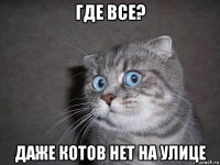 где все? даже котов нет на улице