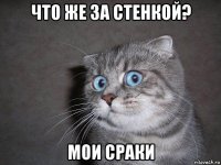 что же за стенкой? мои сраки