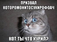 призвал которомонитосукирофоач кот:ты что курил?