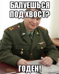 балуешься под хвост? годен!