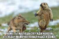  кому ты жалуешься?! иди нахххуй отсюда!! мамочке пожалуешься дома!