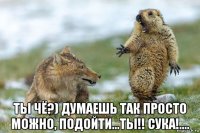  ты чё?) думаешь так просто можно, подойти...ты!! сука!....