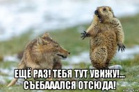  ещё раз! тебя тут увижу!... съебааался отсюда!