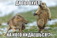 да ты охуел! на кого кидаешься!?