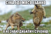 сука где мясо ебанко я не знаю дибилич сучонка