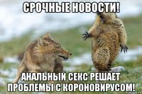 срочные новости! анальный секс решает проблемы с короновирусом!