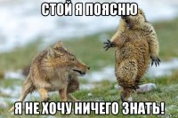 стой я поясню я не хочу ничего знать!