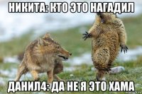 никита: кто это нагадил данил4: да не я это хама