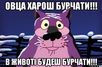 овца харош бурчати!!! в животі будеш бурчати!!!