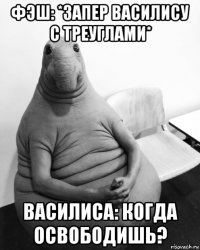 фэш: *запер василису с треуглами* василиса: когда освободишь?