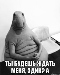  ты будешь ждать меня, эдик? а