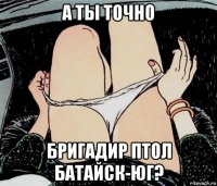 а ты точно бригадир птол батайск-юг?