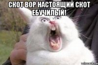 скот вор настоящий скот ебучилый! 