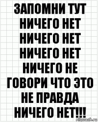 запомни тут ничего нет ничего нет ничего нет ничего не говори что это не правда ничего нет!!!