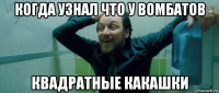 когда узнал что у вомбатов квадратные какашки