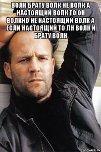 волк брату волк не волк а настоящий волк то он волкно не настоящий волк а если настоящий то лн волк и брату волк 