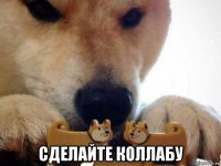  сделайте коллабу