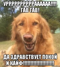 урррррррррраааааа!!!! гав гав! да здравствует покой и кайф!!!!!!!!!!!!!!!!!!!!!