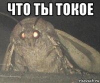 что ты токое 