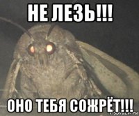 не лезь!!! оно тебя сожрёт!!!