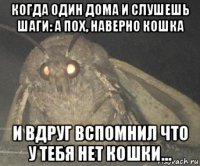 когда один дома и слушешь шаги: а пох, наверно кошка и вдруг вспомнил что у тебя нет кошки...