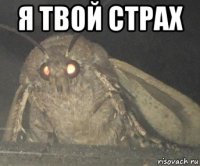 я твой страх 