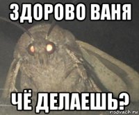 здорово ваня чё делаешь?