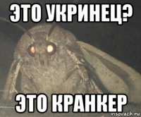 это укринец? это кранкер