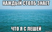 каждый столб знает что я с лешей