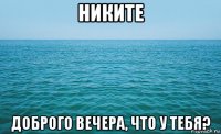 никите доброго вечера, что у тебя?