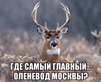  где самый главный... оленевод москвы?