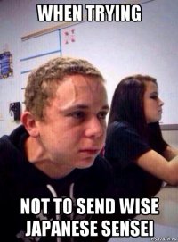 when trying not to send wise japanese sensei