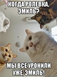 когда ролевка, эмиль? мы все уронили уже, эмиль!