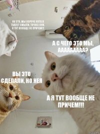 Ну это, мы короче кота в туалет смыли, точнее они. Я тут вообще не причем!!! А с чего это мы, ААААААААА? Вы это сделали, но нея А я тут вообще не причем!!!