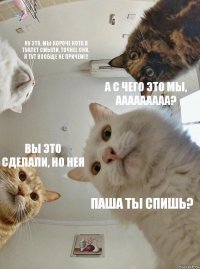 Ну это, мы короче кота в туалет смыли, точнее они. Я тут вообще не причем!!! А с чего это мы, ААААААААА? Вы это сделали, но нея Паша ты спишь?