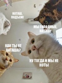 Наташ, подъем! Мы голодные, Наташ! Как ты не Наташа? Ну тогда и мы не коты