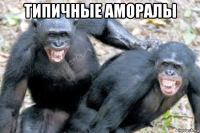 типичные аморалы 