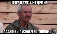 что? я тут 2 недели! ладно выпускаем из тюрьмы!