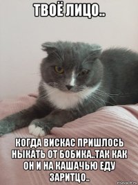 твоё лицо.. когда вискас пришлось ныкать от бобика..так как он и на кашачью еду заритцо..