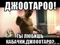 джоотароо! ты любишь кабачки,джооотаро?