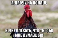 я дрочу на поняш, и мне плевать, что ты обо мне думаешь!!!