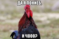 да я пониеб, и чооо?